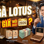 Giá Xì Gà Lotus Chính Hãng Vinataba | Tổng Kho Uy Tín Nhất